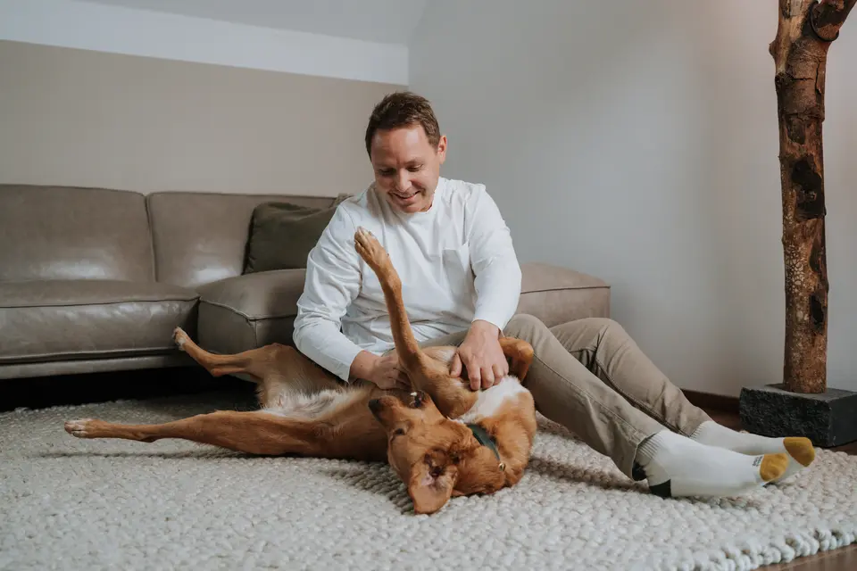 Denis Klefenz spielt lachend mit seinem Labrador, der auf dem Rücken auf dem Wohnzimmerteppich liegt