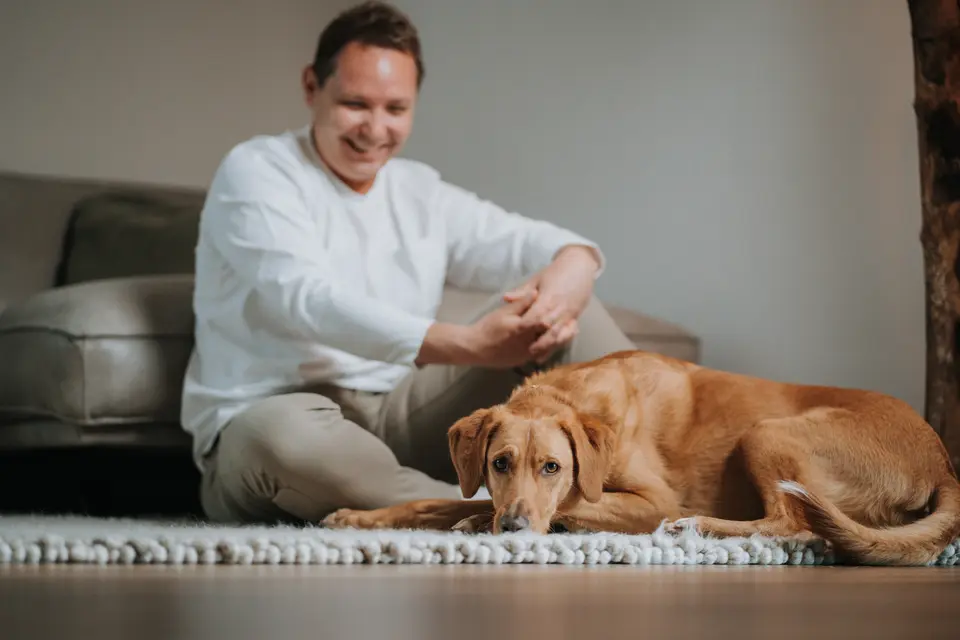 Denis Klefenz sitzt auf dem Teppich und streichelt einen goldenen Labrador, der entspannt vor ihm liegt